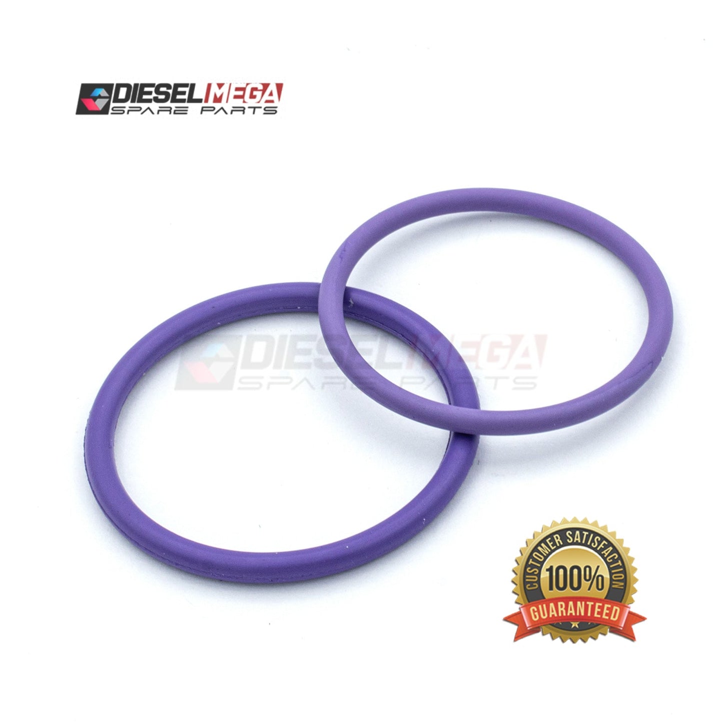 Delphi EUI Injector Gasket Kit (Volvo 276948) (SI) for Durable Gasket Solutions in Volvo Diesel Injectors