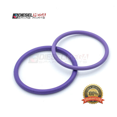 Delphi EUI Injector Gasket Kit (Volvo 276948) (SI) for Durable Gasket Solutions in Volvo Diesel Injectors