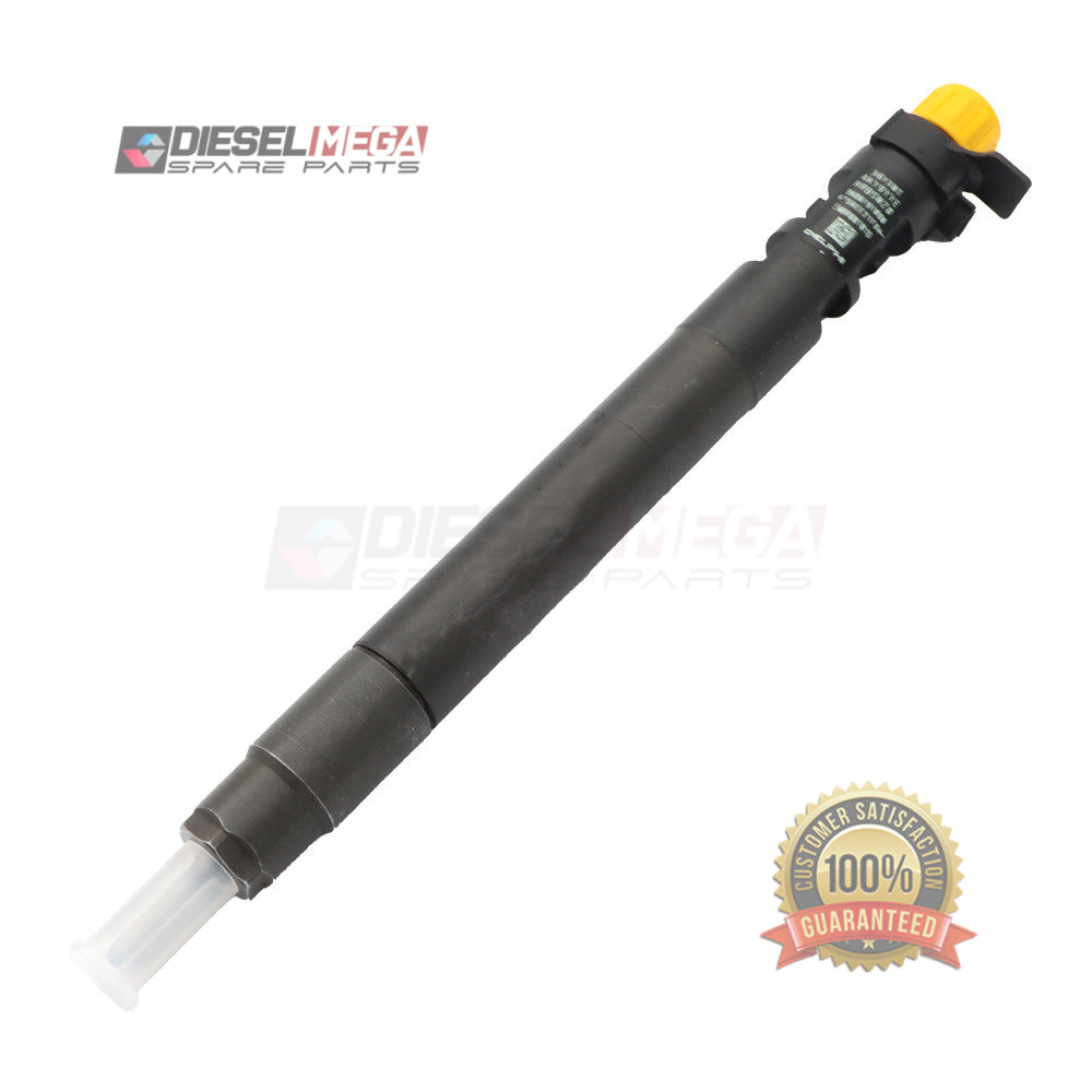 Delphi CR Injector - EMBR00101D - 9M5Q-9F593-BA (Reconditioned) for Precision Injector Reconditioning and Testing